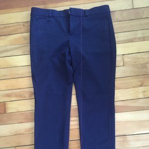 Navy Banana Republic Sloan Fit Size 4